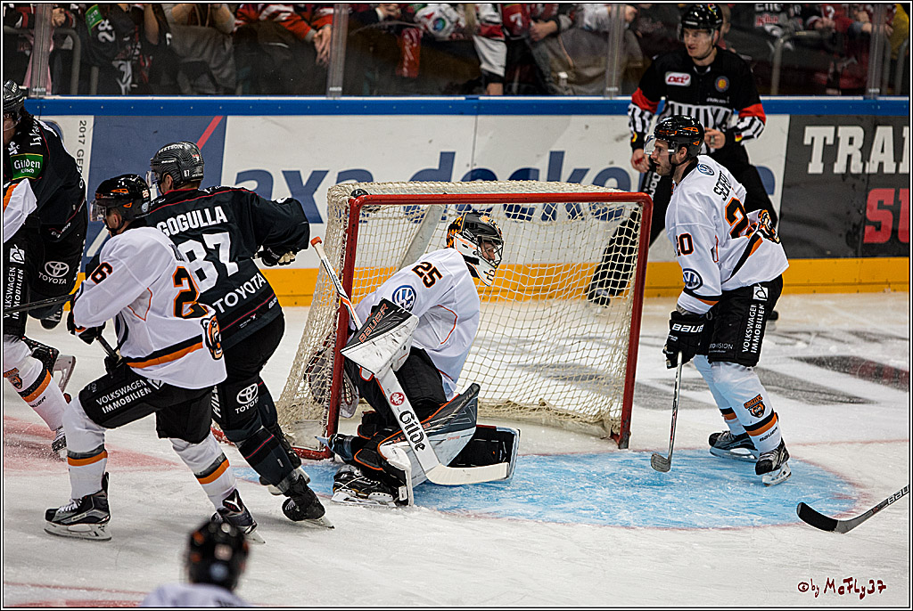 Koelner Haie - Grizzlys Wolfsburg, 16.10.2016, 16.10.2016